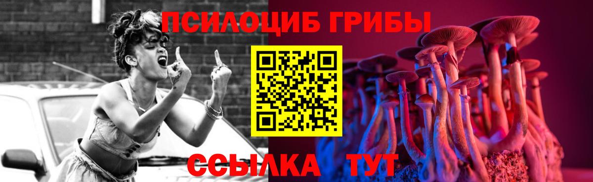 Галлюциногенные грибы Cubensis Озёры